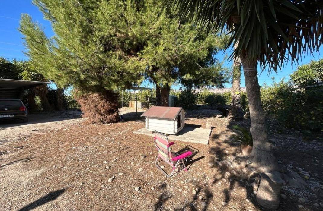 Revente - Country House - Orihuela - La Murada-Los Vicentes