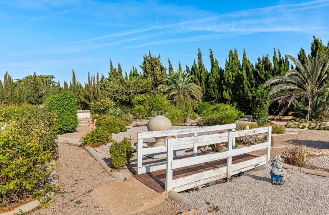 Revente - Finca / Country Property - Los Montesinos - LOS MONTESINOS