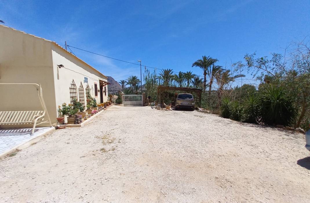 Revente - Finca / Country Property - Orihuela - Zona Centro