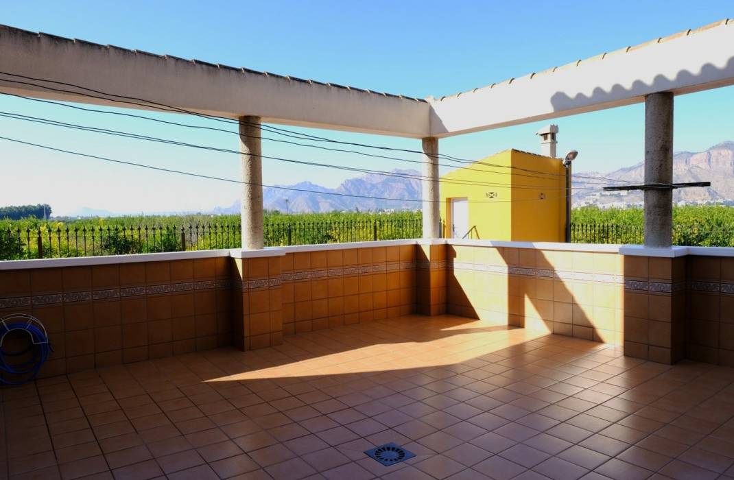 Revente - Finca / Country Property - Orihuela