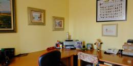 Revente - Finca / Country Property - Orihuela