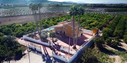 Revente - Finca / Country Property - Orihuela
