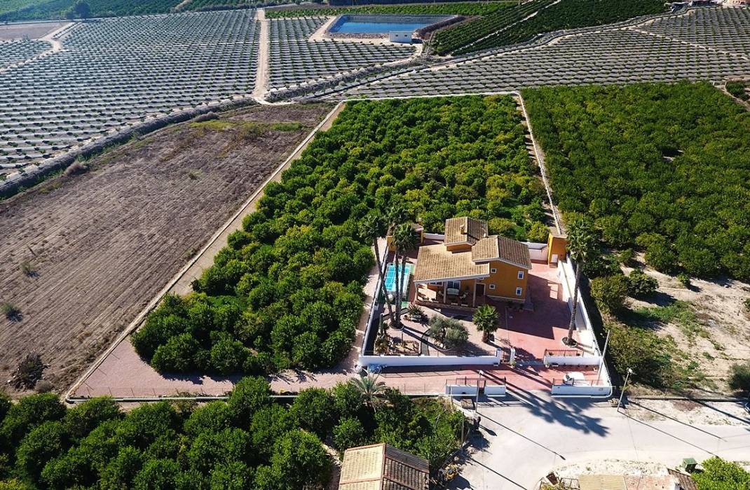Revente - Finca / Country Property - Orihuela
