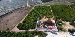 Revente - Finca / Country Property - Orihuela