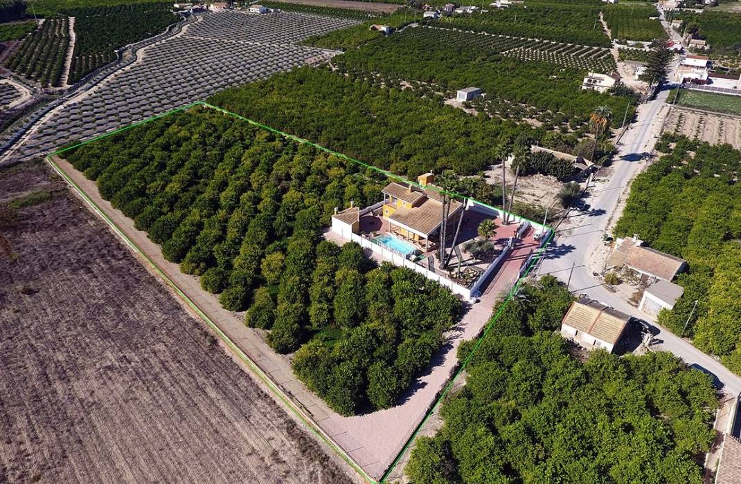 Revente - Finca / Country Property - Orihuela