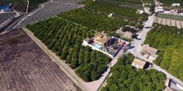 Revente - Finca / Country Property - Orihuela