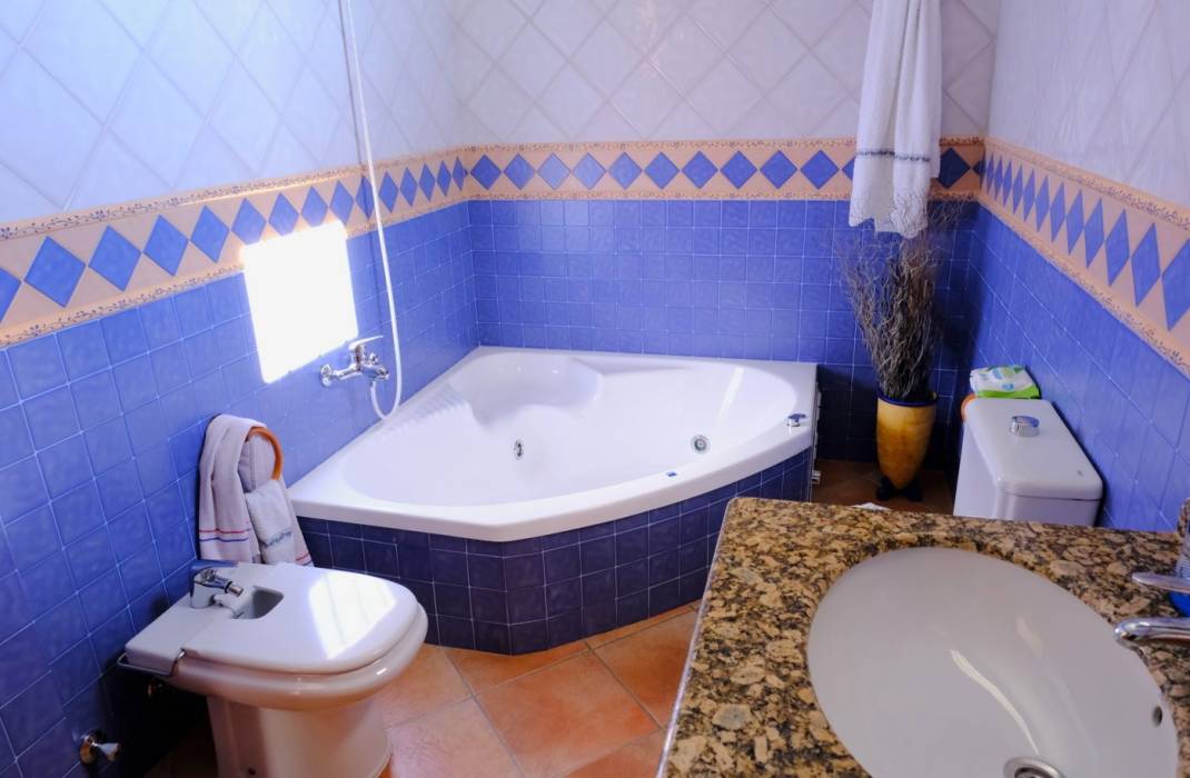 Revente - Finca / Country Property - Orihuela