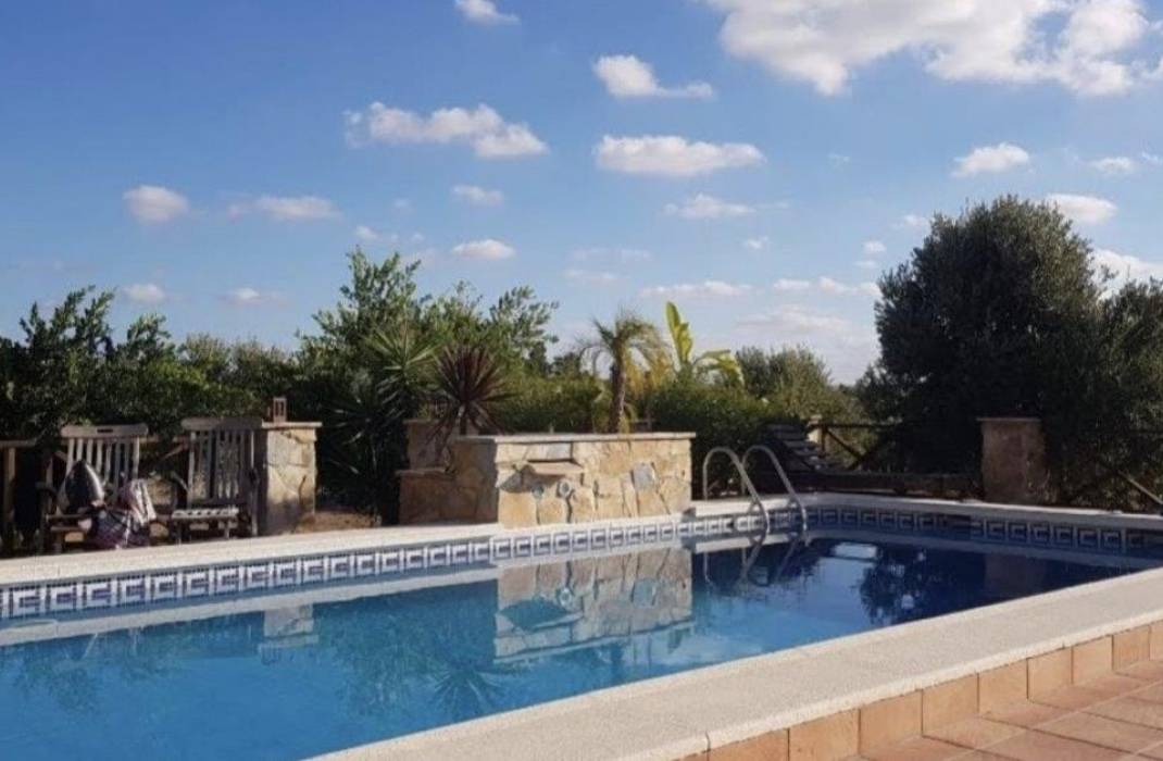 Revente - Finca - Los Montesinos