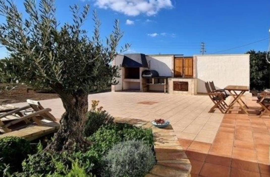 Revente - Finca - Los Montesinos