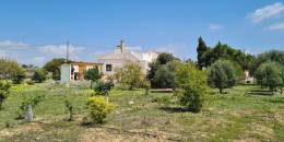 Revente - Finca - Los Montesinos