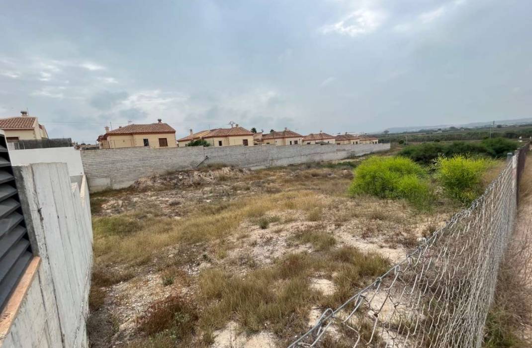 Revente - Grond - San Fulgencio