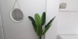 Revente - Penthouse - Lo Pagan - LA PUNTICA