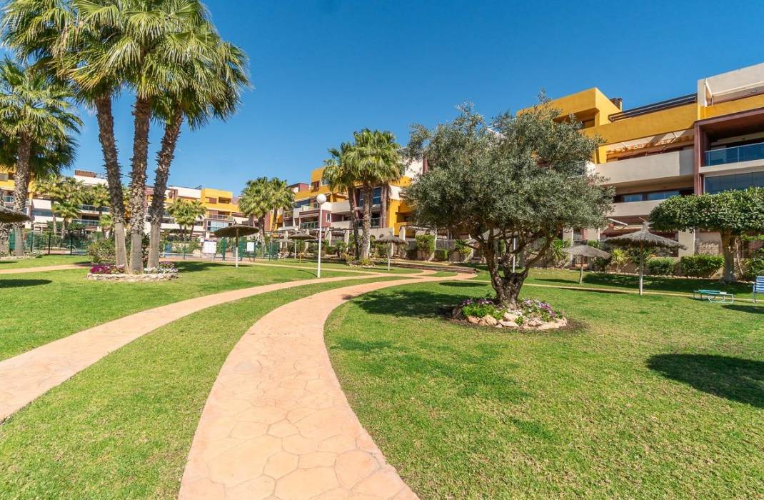 Revente - Penthouse - Orihuela Costa