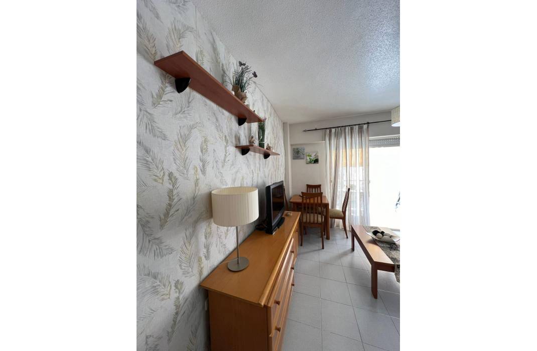 Revente - Penthouse - Torrevieja - torrevieja