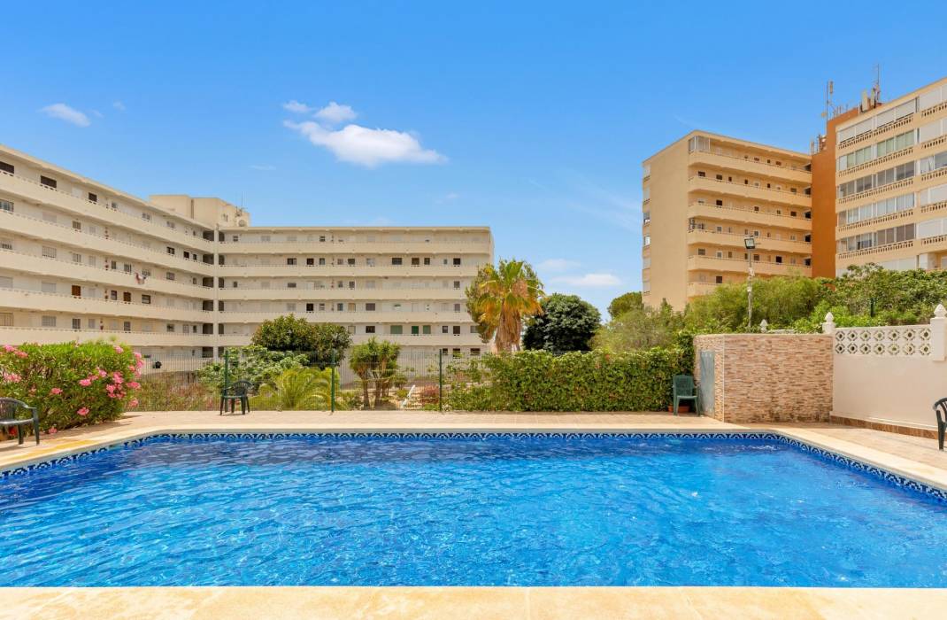 Revente - Penthouse - Torrevieja