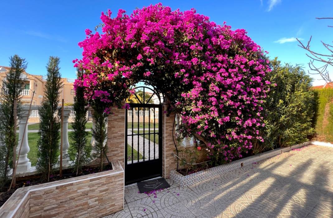 Revente - Terraced house - Torrevieja - 0