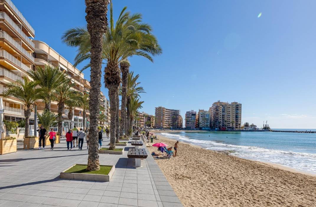 Revente - Terraced house - Torrevieja - Estacion de autobuses