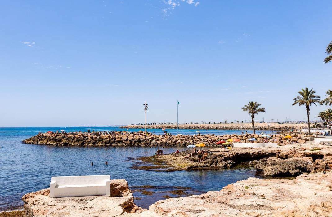 Revente - Terraced house - Torrevieja - Estacion de autobuses