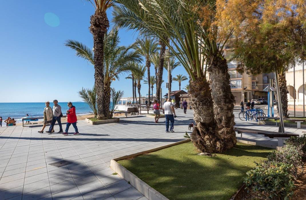 Revente - Terraced house - Torrevieja - Estacion de autobuses