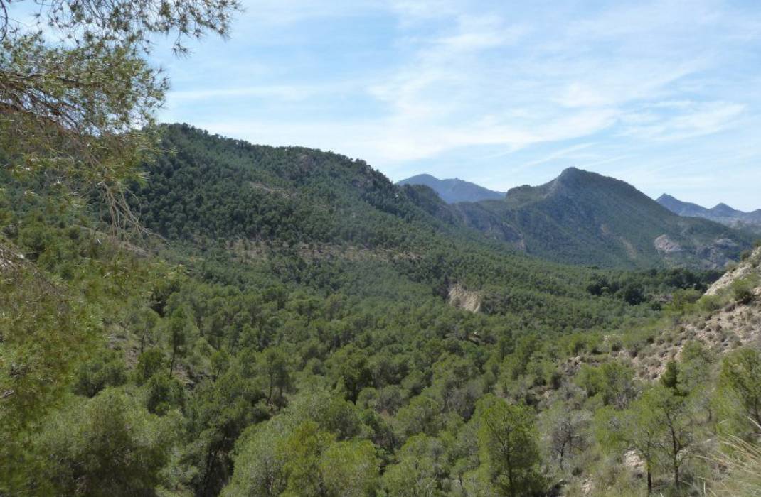 Revente - Vrijstaand Huis / Villa - Murcia