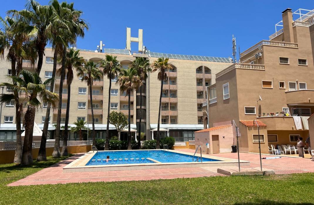 Venta - Apartment / flat - Punta Prima - Punta Prima Torrevieja