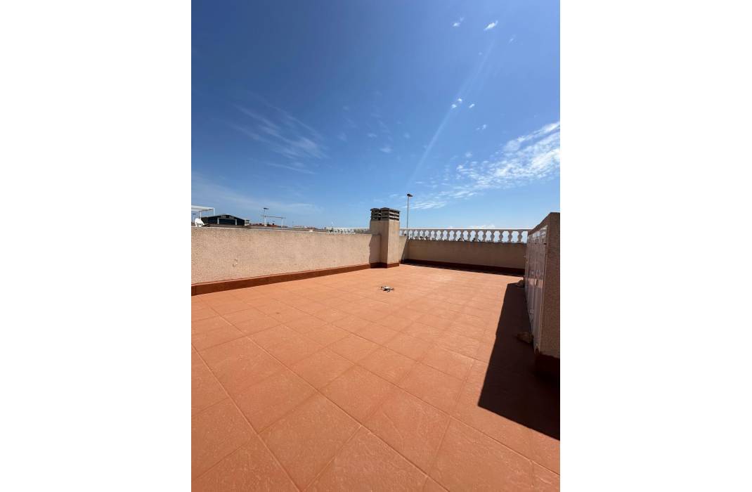 Venta - Bungalow - Torrevieja - Sector 25