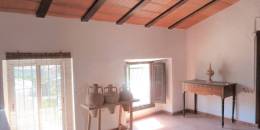 Venta - Casa / Chalet independiente - Murcia