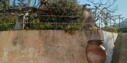 Venta - Casa / Chalet independiente - Murcia