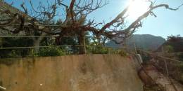 Venta - Casa / Chalet independiente - Murcia