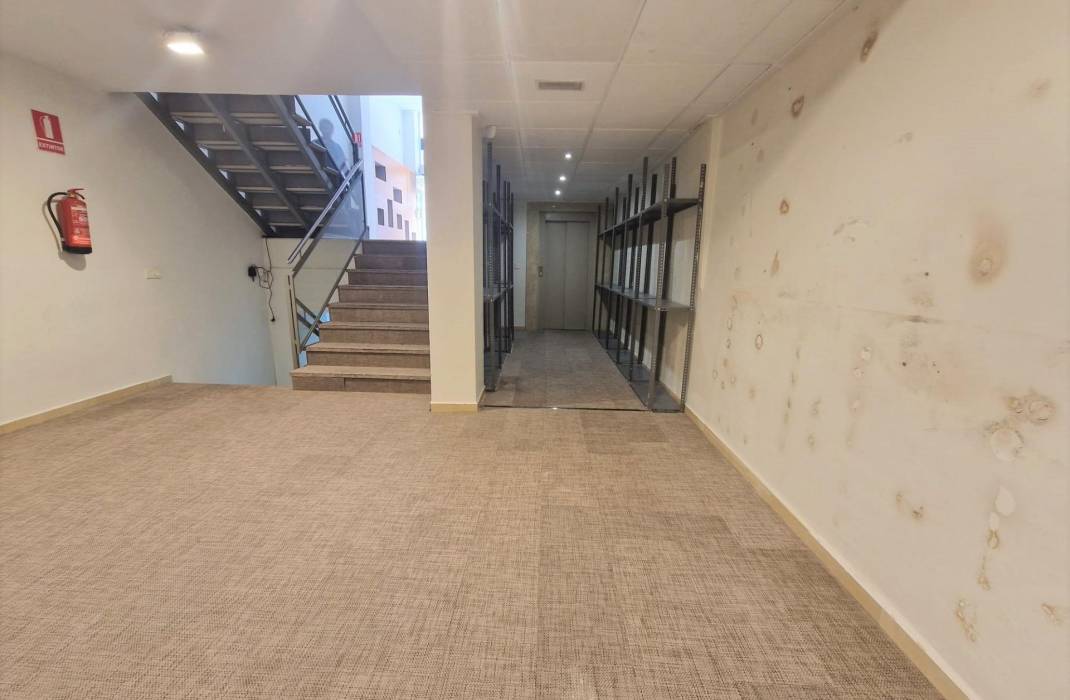 Venta - commercial - Guardamar del Segura