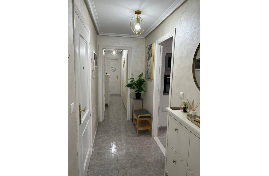 Venta - Piso - Los Montesinos