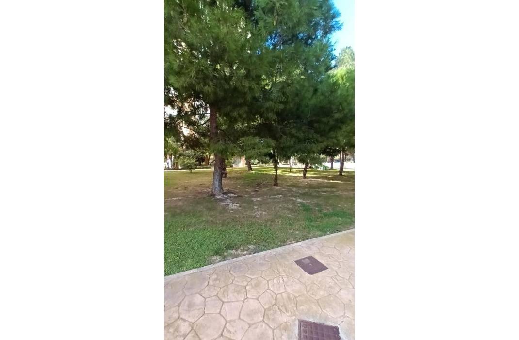 Venta - Piso - Orihuela Costa - Altos de Campoamor