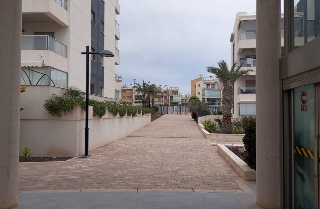 Venta - Piso - Orihuela Costa - La Zenia