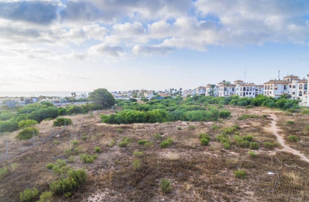 Venta - Piso - Orihuela Costa