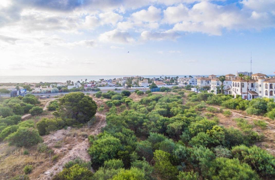Venta - Piso - Orihuela Costa