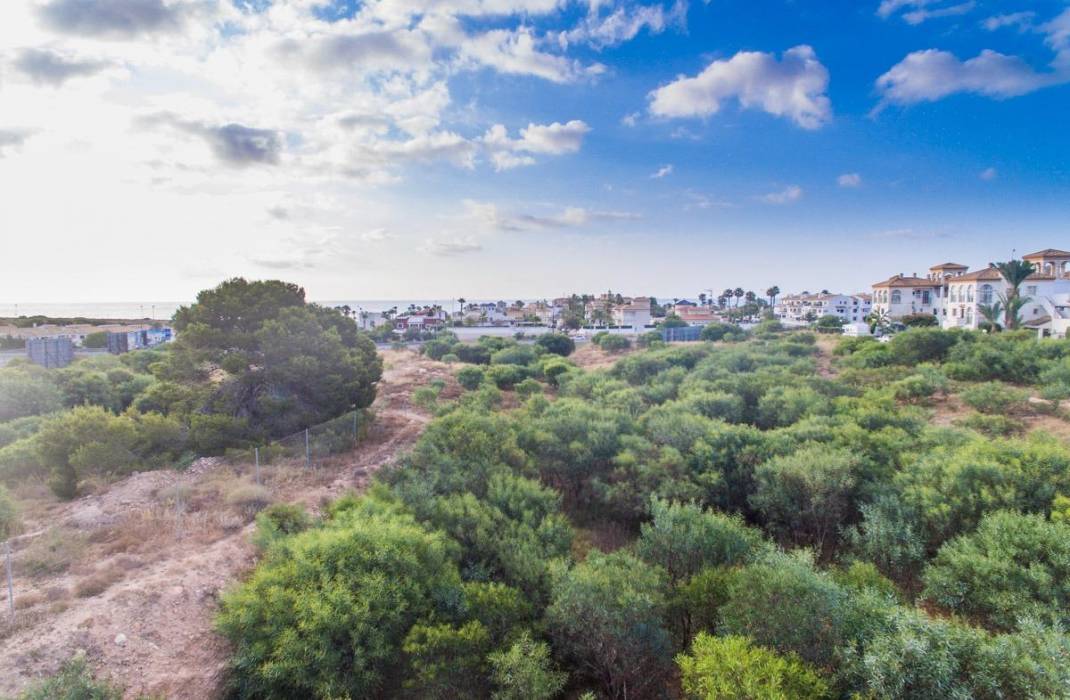 Venta - Piso - Orihuela Costa