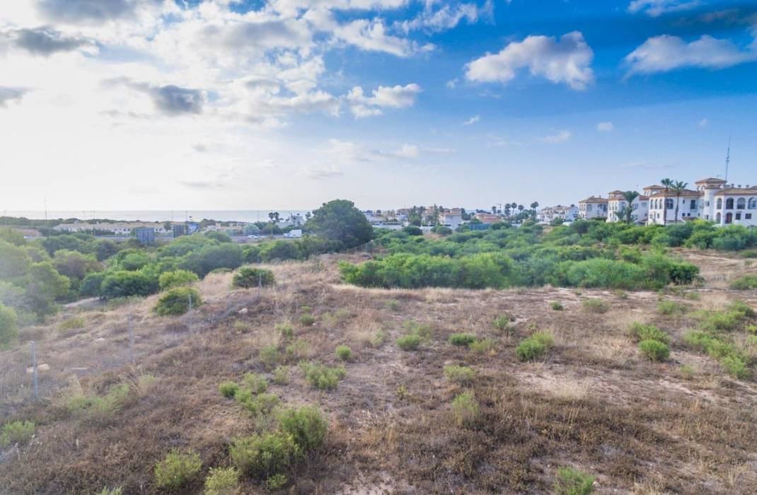 Venta - Piso - Orihuela Costa