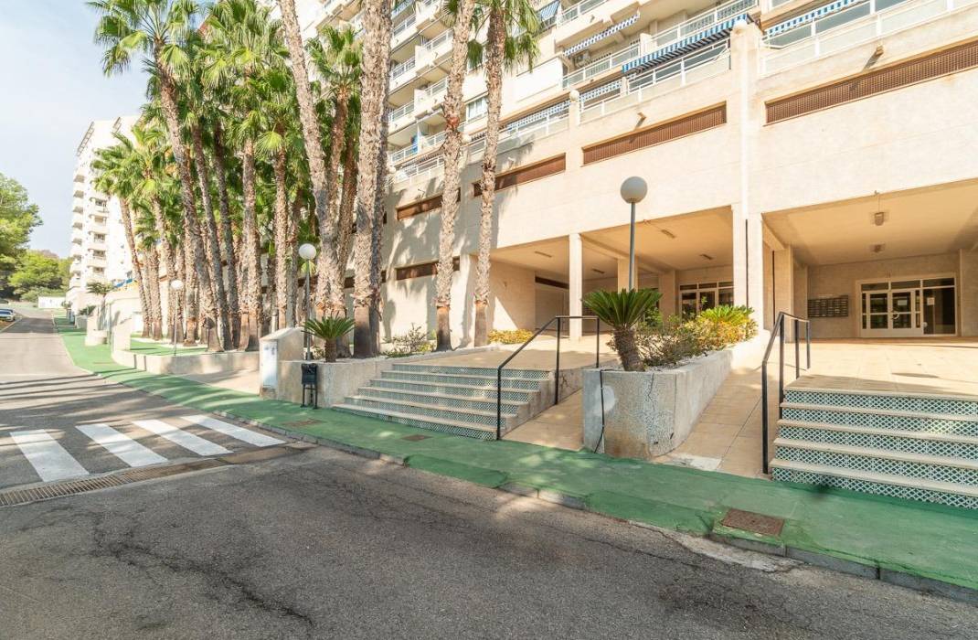 Venta - Piso - Orihuela Costa