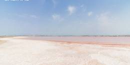 Venta - Piso - Orihuela Costa