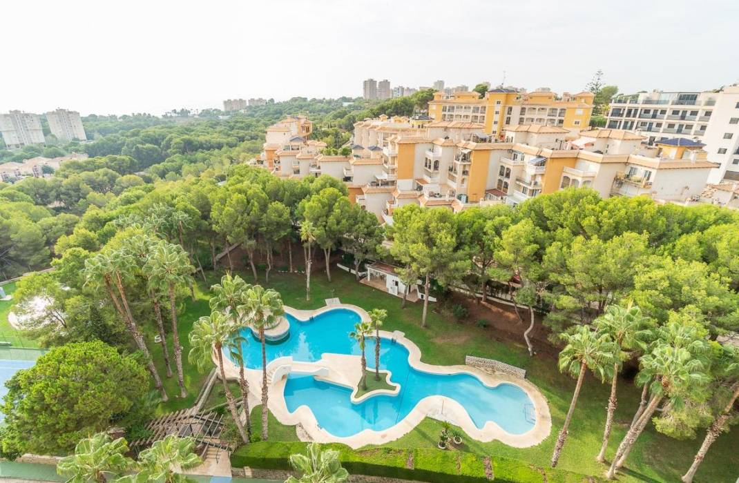 Venta - Piso - Orihuela Costa