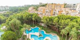 Venta - Piso - Orihuela Costa