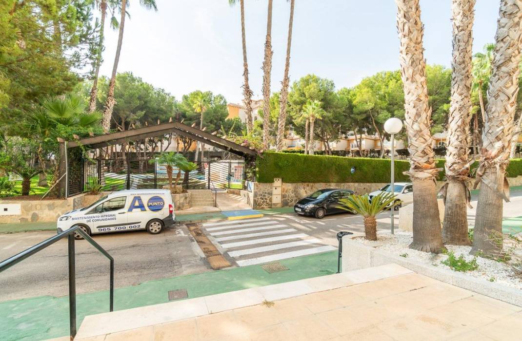 Venta - Piso - Orihuela Costa