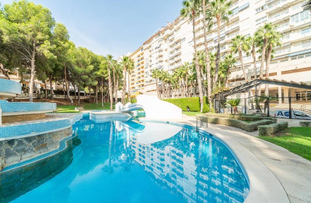 Venta - Piso - Orihuela Costa