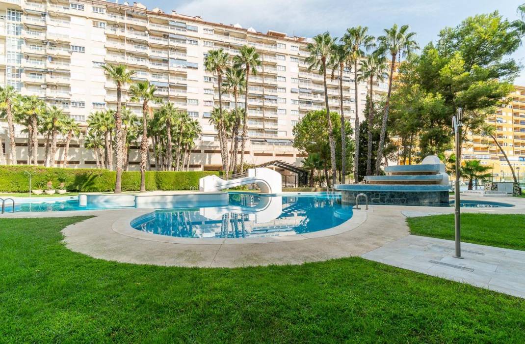 Venta - Piso - Orihuela Costa