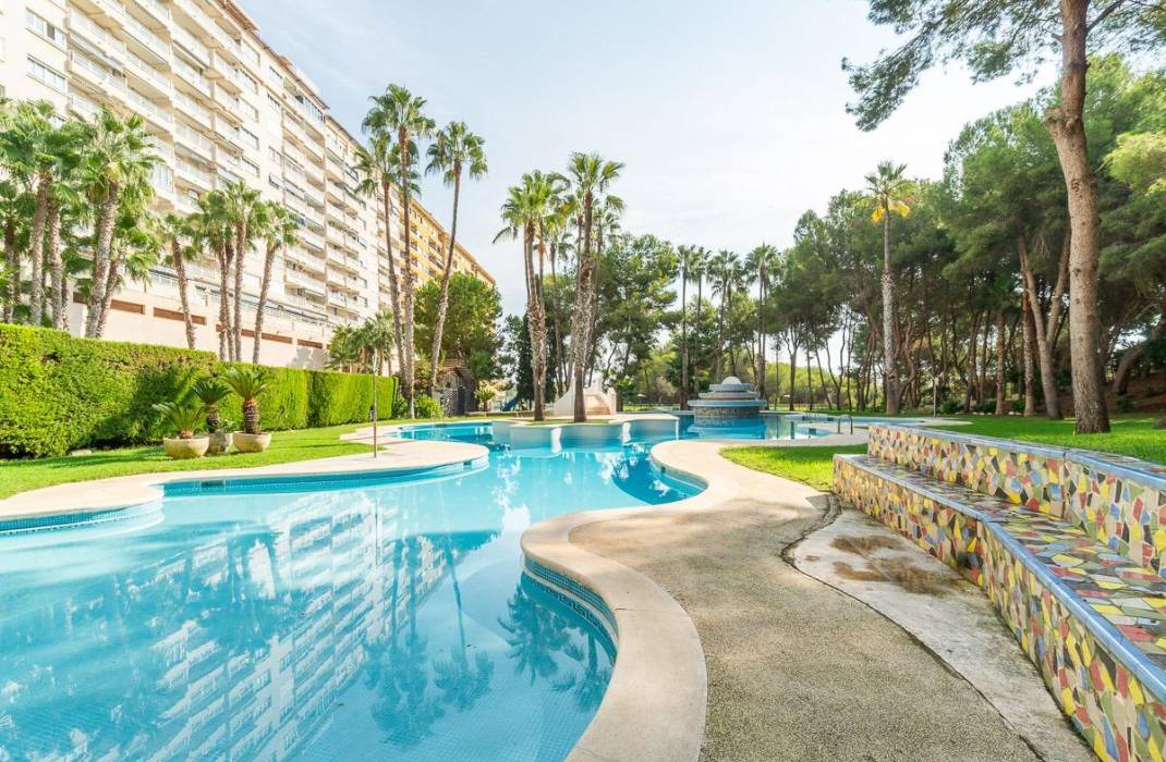 Venta - Piso - Orihuela Costa