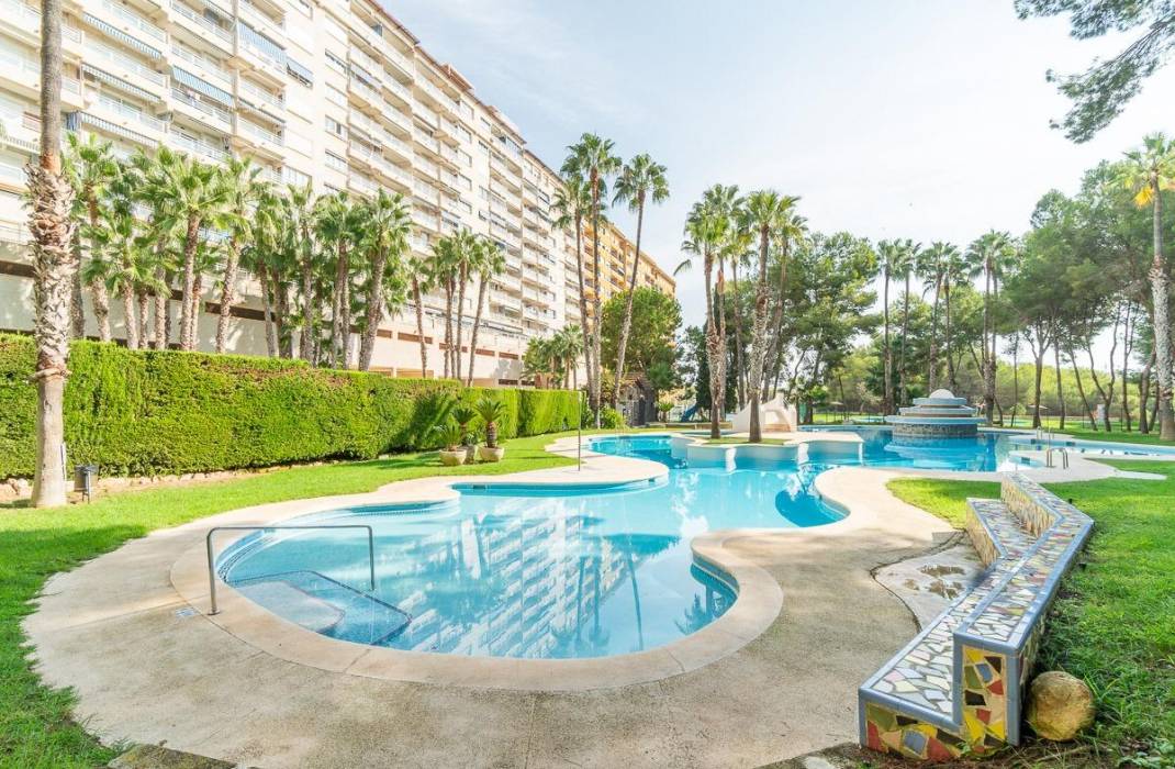 Venta - Piso - Orihuela Costa