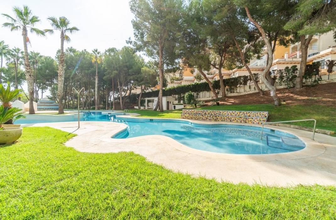 Venta - Piso - Orihuela Costa
