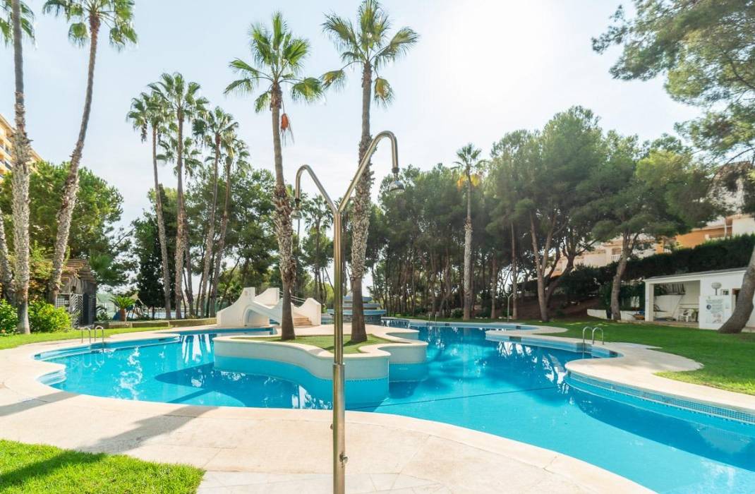 Venta - Piso - Orihuela Costa