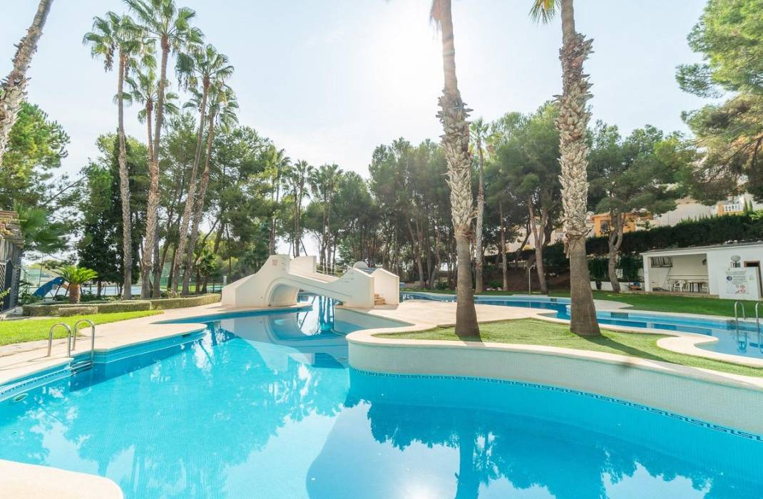 Venta - Piso - Orihuela Costa