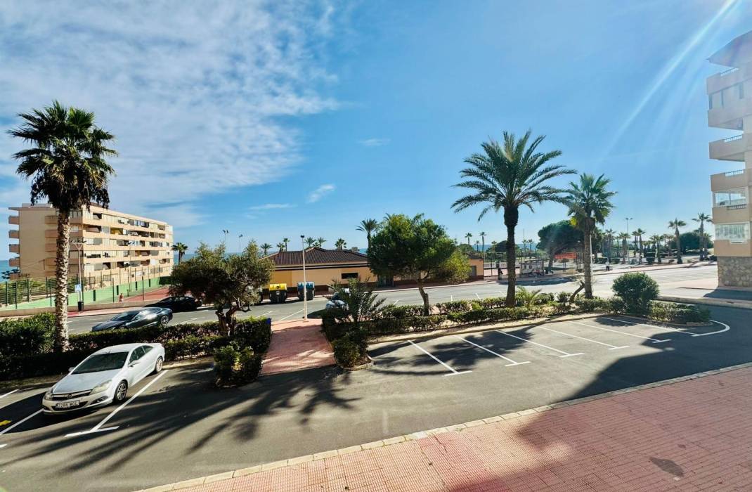 Venta - Piso - Torrevieja - Cabo cervera